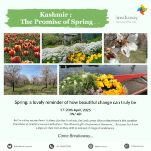 Kashmir Spring Tour