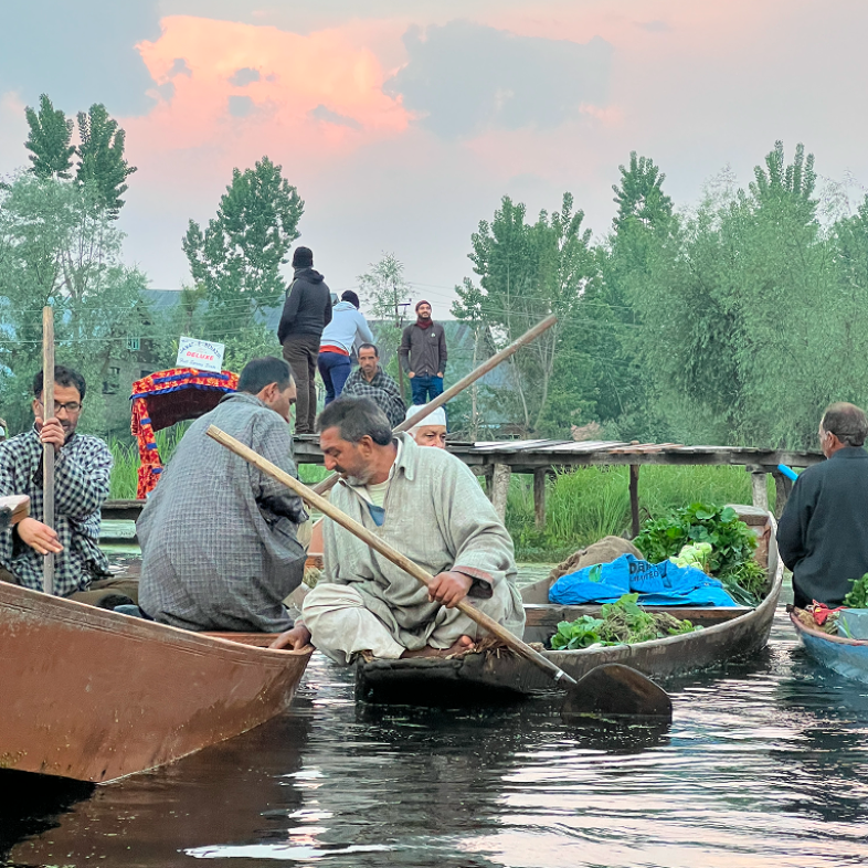 Kashmir 02