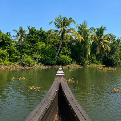 Wellness retreats 02